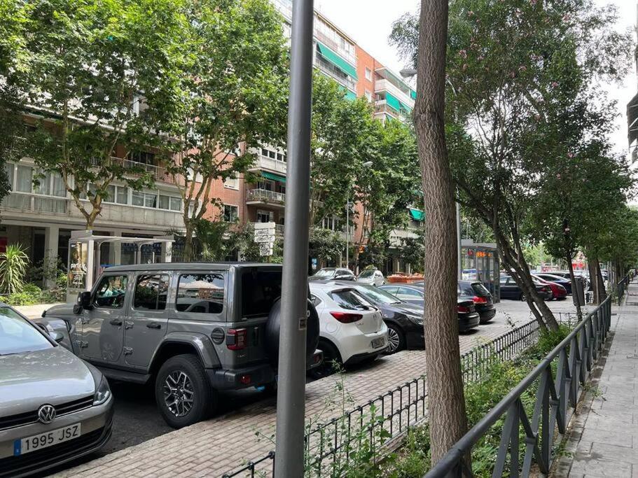 Apartamento De Lujo Barrio Salamanca — Photos 3